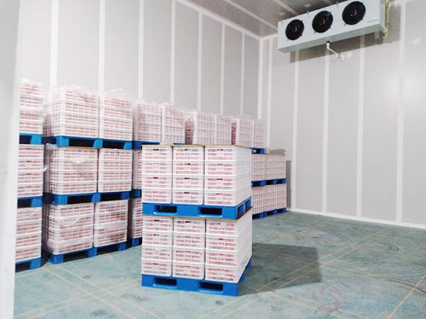 湖南果蔬氣調(diào)保鮮冷庫設計