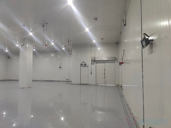 防爆醫(yī)藥冷庫(kù)設(shè)計(jì)