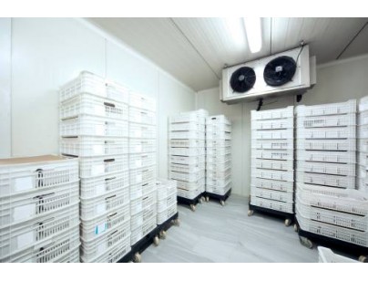 浙江仙居股份經(jīng)濟合作社羊肚菌氣調保鮮冷庫建造工程案