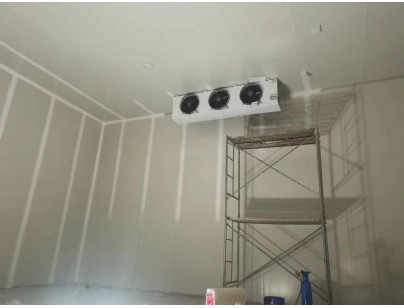 浙江仙居股份經(jīng)濟合作社羊肚菌氣調保鮮冷庫建造工程案