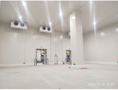 江蘇太倉(cāng)遠(yuǎn)洋物流二氧化碳復(fù)疊系統(tǒng)冷庫(kù)建造工程案例