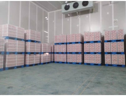 湖州練美農(nóng)業(yè)果蔬產(chǎn)地型氣調(diào)冷庫(kù)建造工程案例