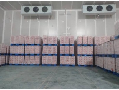 湖州練美農(nóng)業(yè)果蔬產(chǎn)地型氣調(diào)冷庫(kù)建造工程案例