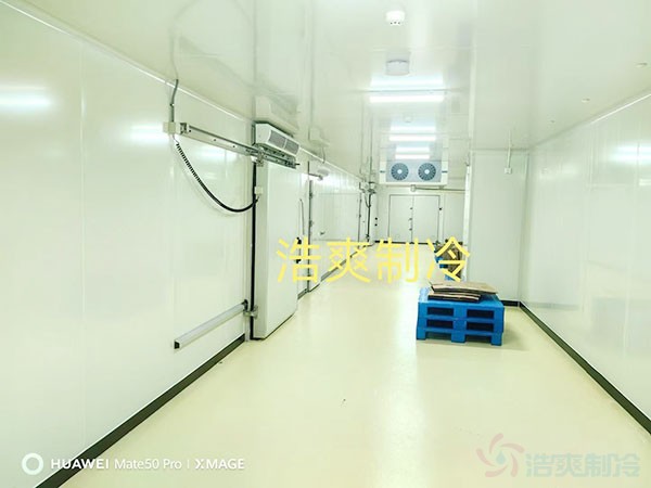 醫(yī)藥冷庫(kù)設(shè)計(jì)