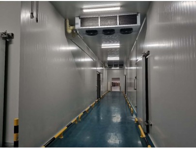 伊利乳業(yè)高標(biāo)準(zhǔn)乳制品加工冷鏈倉儲冷庫建造工程案例