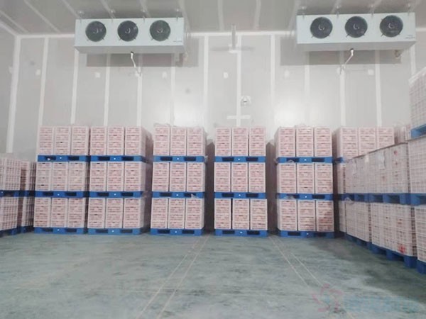 氣調(diào)保鮮庫