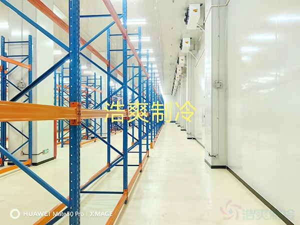 體外試劑冷庫(kù)