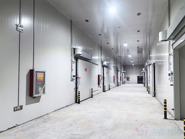 20000平冷庫建設(shè)