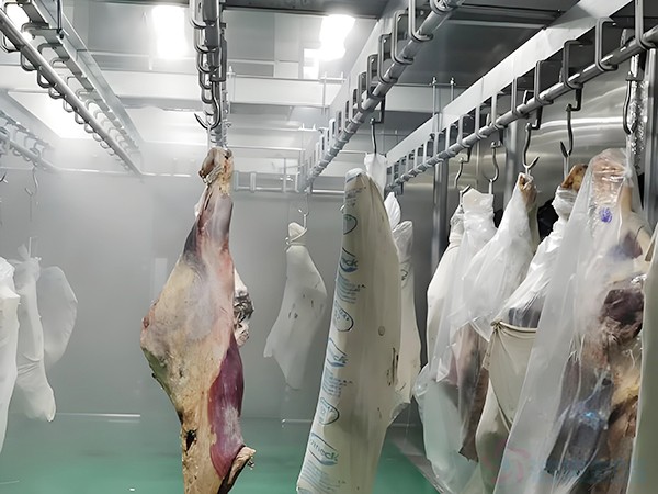 屠宰冷庫建設(shè)