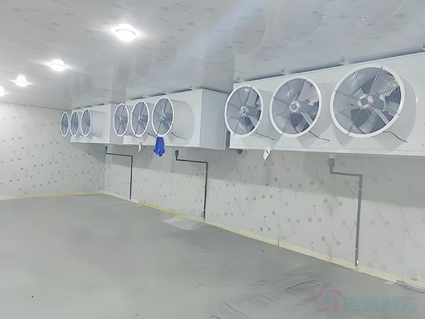 快速凍庫(kù)安裝