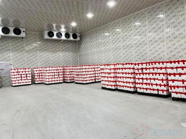 氣調(diào)庫建造