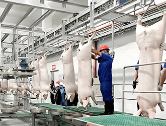 排酸冷庫(kù)與普通冷庫(kù)的區(qū)別有哪些？結(jié)構(gòu)原理與應(yīng)用對(duì)比解析